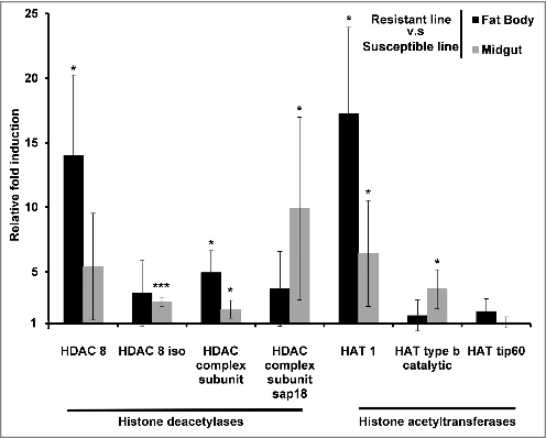 Figure 4. Midgut and fat body-specific changes in the expression of HDACs and HATs in uninfected Bt-resistant G. mellonella larvae. Transcriptional activation of genes encoding HDAC 8, HDAC 8 iso, HDAC complex, HDAC sap18, HAT1, HAT type b and HAT tip60 in the fat body and midgut of uninfected resistant G. mellonella larvae relative to expression in the fat body and midgut of uninfected susceptible larvae. The 18S rRNA housekeeping gene was used for internal data normalization. Data are means of 3 independent experiments with standard deviations (# p < 0.005, ### p < 0.0005 – compared with fold expression in the midgut and fat body of susceptible line)