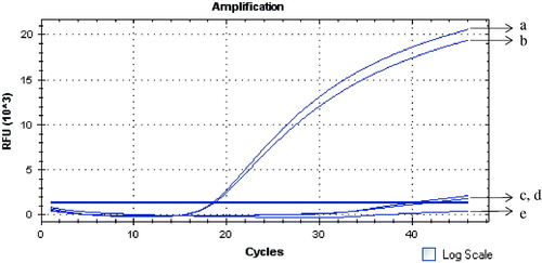 Figure 3. Specificity of the GNPA using real-time PCR detection. Signal DNA bound on GNP was analyzed using fluorescence real-time PCR. Real-time PCR results from: (Curves A, B) ricin A chain of two duplicates; (Curves C, D) camphorin and ebulitin protein; and (Curve E) blank control.