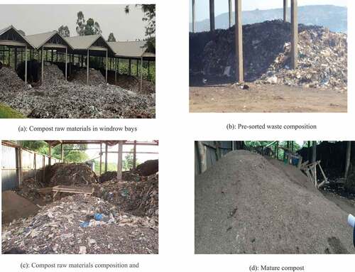 Figure 3. (a) Compost raw materials in windrow bays. (b) Pre-sorted waste composition. (c) Compost raw materials composition and sorting. (d) Mature compost.