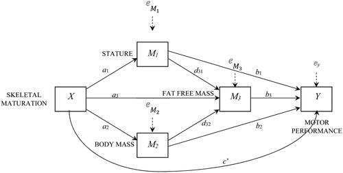 Figure 1. Estimated mediating effect of stature, body mass and estimated fat-free mass on the relationship between the standardised residuals of skeletal age on chronological age and performances of female athletes. Analysis based on model 80 (Hayes Citation2018).