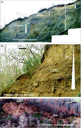 Figure 2. Stratigraphy of the study area alluvial deposits. (a) Pliocene continental deposits unconformably overlain by allounit V1, which shows three main fining upward (FU) intervals, the main unconformity is marked by a yellow line; (b) Fining-upward fluvial gravel of unit V2flb, unconformably overlaying Pliocene marine deposits; and (c) Sandy fluvial deposits of unit V2flb deposits, covered by palustrine V2pl facies and overlain Pliocene marine deposits.