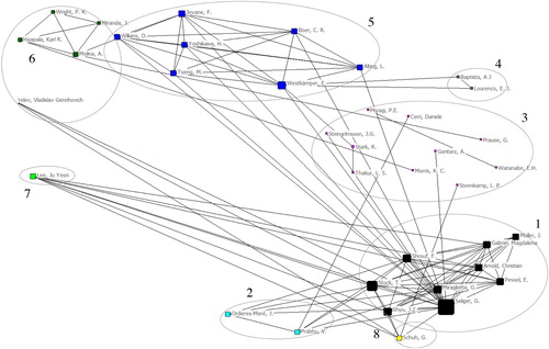 Figure 4. Authors’ co-citation network.