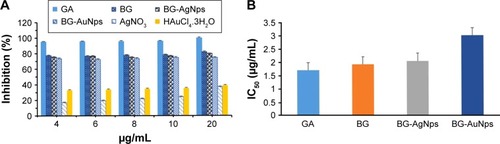 Figure 6 DPPH radical-scavenging activity of BG-AuNps and BG-AgNps using gallic acid as positive control (A) and IC50 comparison among gallic acid, BG, BG-AgNps, and BG-AuNps (B).Abbreviations: DPPH, 2,2-diphenyl-1-picrylhydrazyl; BG, black ginseng; AuNps, gold nanoparticles; AgNps, silver nanoparticles; GA, gallic acid.