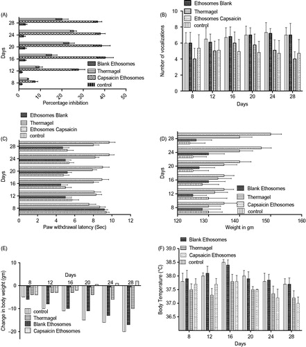 Figure 7. (A) Percentage inhibition of FCA-induced arthritis by various formulations; inhibition ability of ethosomes was higher than Thermagel. Ethosomal capsaicin, despite better results, is statistically significant compared to control group (p < 0.001). (B) Effect of Ethosomal capsaicin on the ankle flexion-extension score in adjuvant-induced arthritic animals. Ethosomal capsaicin showed better results compared to Thermagel. Performance of ethosomal capsaicin was statically significant at 16, 24 and 28 day at level of p < 0.01 compare to Thermagel. (C) Effect of Ethosomal capsaicin on paw withdrawal latency noxious heat stimuli produced in adjuvant-induced arthritic animals. In Thermagel group, a near constant value was obtained but paw withdrawal latency was statistically increased up to the termination of therapy (p < 0.01). (D) Effect of Ethosomal capsaicin on mechanical threshold produced in adjuvant-induced arthritic animals. Ethosomal capsaicin showed better results compared to control, statistically significant at level p < 0.001. Performance of ethosomal capsaicin was statically significant on 12, 16, 20 and 24 day at level of p < 0.001 compared to Thermagel. (E) Effect of Ethosomal capsaicin on body weight in adjuvant-induced arthritic animals), Ethosomal capsaicin showed better results compared to control, statistically significant at level p < 0.001. Performance of ethosomal capsaicin was statically significant on 20, 21and 28 day at level of p < 0.001 compared to Thermagel. (F) Effect of Ethosomal capsaicin on body temperature in adjuvant-induced arthritic animals, Ethosomal capsaicin showed better results compared to control, statistically significant at level p < 0.001. Performance of ethosomal capsaicin was statically significant on 16 and 28 day at level of p < 0.001 compared to Thermagel.