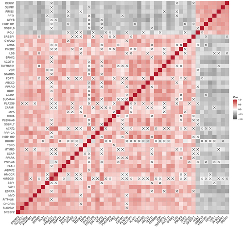 Figure 1 Correlation plot of the expression of SREBF2-related lipid metabolism genes. The colour of each cell represents the correlation between the expression levels of two genes, with red indicating a positive correlation and black indicating a negative correlation. An “X” in a cell indicates a p value greater than 0.001.