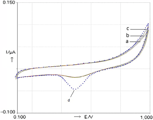 Figure 1. Cyclic voltammograms (CVs) of bare and modified biosensors in different steps in phosphate buffer (pH 7.0), with a scan rate of 50 mVs− 1 vs Ag/AgCl. a) bare gold electrode, b) Cysteamine-modified gold electrode (CMAuE), c) Cysteamine–palladium complex-peroxidase-modified gold electrode (CPaPeMAuE) in the absence of H2O2, d) Cysteamine–palladium complex-peroxidase-modified gold electrode (CPaPeMAuE) in the presence of H2O2 (100 μM).