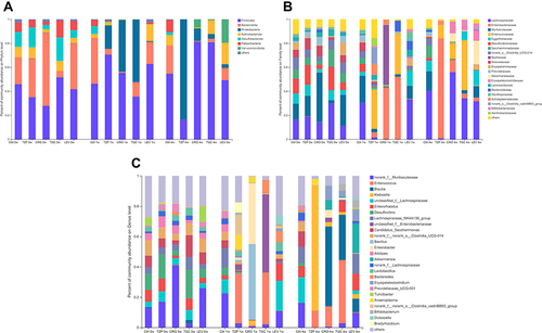 Figure 4 Antibiotic-induced composition changes of gut microbiota. Distribution of the predominant bacteria with antibiotics-treated at (A) phylum level, (B) family level and (C) genus level on 0W, 1W and 4W. Species with less than 0.5% abundance in all samples were merged into the “Others” category. 0W: before treatment. 1 W and 4 W: 1 W and 4W after treatment.