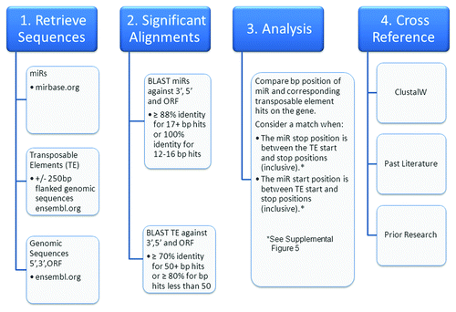 Figure 5. OrbId methodology flowchart. A high level overview of the steps taken to determine miR and transposable element concurrent alignments within the human transcriptome.