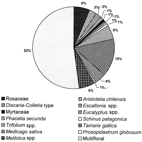 Figure 2. Honey from Chubut grouped by botanical origin: Multifloral honey – 52%; Monofloral honey – Tamarix gallica (15%), Rosaceae (6%), Trifolium spp. (6%), Melilotus spp. (6%), Medicago sativa (4%), Aristotelia chilensis (3%), Colletia/Discaria (2%), Escallonia spp. (1%), Eucalyptus sp. (1%), Myrtaceae (1%), Phacelia secunda (1%), Prosopidastrum globosum (1%), Schinus patagonica (1%).