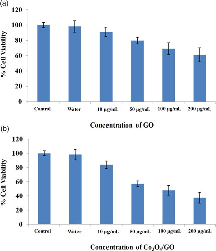 Figure 7. (a) Effect of GO on cell viability by MTT assay. (b) Effect of Co3O4/GO on cell viability by MTT assay.