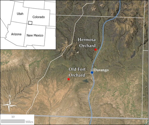 Figure 2. This map indicates the locations of the southwest Colorado orchards where all samples were obtained. Virginia Hewe’s crab apples (V), Transcendent crab apples (T), an unknown variety of local crab apple (U), and Hibernal crab apples (H) were picked at the Old Fort Orchard. Gravenstein apples (G) were picked from six trees at a privately-owned orchard in Hermosa, CO.