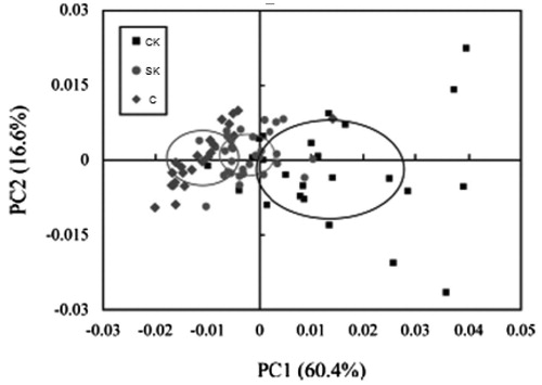 Figure 1. The plot of PCA scores of plasma samples obtained from the clinical ketosis (CK), subclinical ketosis (SK) and control (C) groups without outliers. On the scores plot, each point represents an individual sample. The centre and margin of the ellipse indicate mean and standard deviation, respectively.