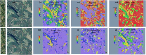 Figure 11. Mapping and verification of fractional landscape components in region 3 of the Hyperion scene: (a) Google Earth image, (b) quartz-rich Arenosols (A9), (c) iron-rich Nitisols (A14), (d) clay-rich Latosols (A16), (e) Forest1 (Aspen-like trees), (f) Forest1 (Blackberry-like trees), (g) FOREST (all).