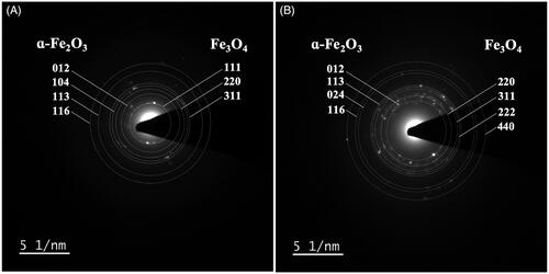 Figure 7. SAED-TEM analysis of cellular NPs in A. pinnata treated with (A) Fe(NO3)3 and (B) Fe(NO3)3 and Ni(NO3)2.