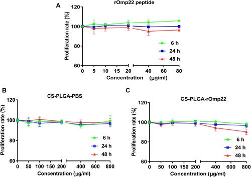 Figure 4 The cytotoxicity of rOmp22 (A), CS-PLGA-PBS (B) and CS-PLGA-rOmp22 NPs (C) to A549 cells. The cytotoxicity of rOmp22 and CS-PLGA NPs to A549 cells was detected by Cell Counting Kit-8 (CCK-8) assay. Experiments were performed in triplicate.