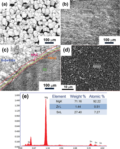 Figure 4. (a) Optical microstructure of the ZK60 Mg alloy substrate. (b) Optical microstructure of the ZK60 Mg alloy reinforced with Sn using FSP. (c) Optical microstructure of the FSPed ZK60 Mg alloy showing the junction between both FSPed and non-FSPed zones. (d) SEM image of the FSPed zone of ZK60 Mg alloy reinforced with Sn. (e) EDS spectrum of the FSPed zone of ZK60 Mg alloy reinforced with Sn.