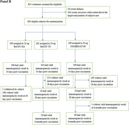 Figure 1. (Continued).