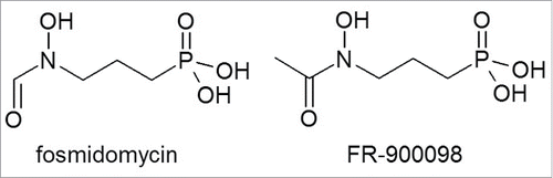 Figure 1. Chemical structures of fosmidomycin and FR-900098.