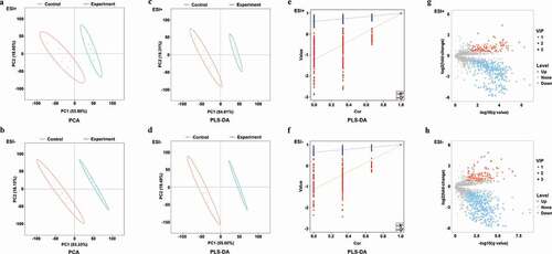 Figure 2. PCA, PLS-DA plots, and differentially abundant ions identified in ESI+ and ESI- modes for treatment and control group samples. (a-b) PCA plots for ESI+ and ESI- modes; (c-d) PLS-DA plots for ESI+ and ESI- modes; (e-f) Validation plots were obtained from 200 permutation tests in (c) ESI+ (R2 = 0.993 and Q2 = 0.970) and (d) ESI- (R2 = 0.997 and Q2 = 0.976) modes; (g) Differentially abundant ions identified in the ESI+ mode; (h) Differentially abundant ions identified in the ESI- mode.