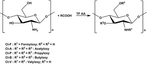 Figure 6 The synthetized reaction of esterification chitosan.