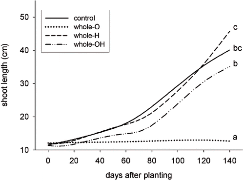 FIGURE 4. Total shoots length (primary + laterals) of plants in pots with a whole-pot distribution (all sectors with treatment). The treatments were: Control, Olive husks (whole-O), Hay (whole-H), Olive husks and Hay (whole-OH). Different letters indicate significant differences between the values of the last measurement (Duncan's test P < 0.05).