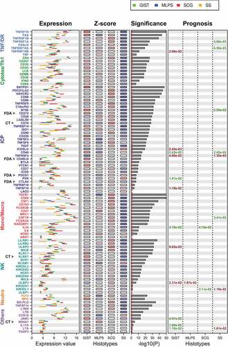 Figure 3. Expression level of the 93 ICP/MM genes across each sarcoma subtype.