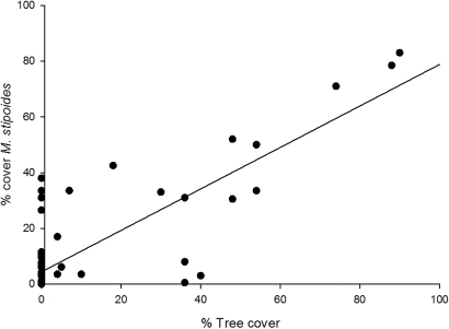 Figure 5 Relationship between % tree cover and % cover of Microlaena stipoides. Line predicted by linear regression (P<0.001) superimposed on graph, % cover M. stipoides=4.39 + 0.74 ×% tree cover.