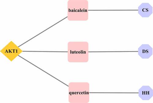 Figure 5. Active ingredients of the core target AKT1