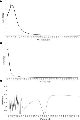 Figure 2 UV-Vis spectroscopy analysis: (A) Crude of A. heterophylla, (B) Purified A. heterophylla, and (C) Phenol sulphuric acid assay of A. heterophylla.