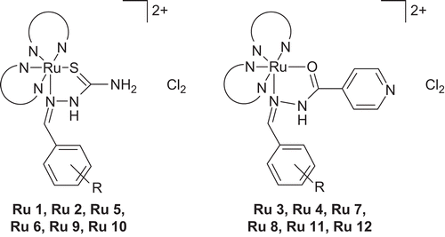 Figure 1.  Structures of the ruthenium(II) complexes, where N = 1,10-phenanthroline/2,2′-bipyridine, R= 4-OH, 4-CH3, 3,4-di-OCH3.