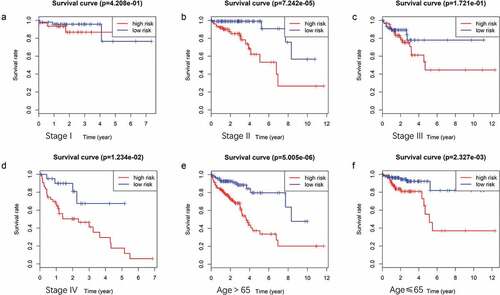 Figure 6. (A ~ F) Patients divided according to the pathological stages of the tumor or age and analyzed for differences in the corresponding survival based on the signature.