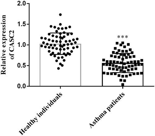 Figure 1 Levels of lncRNA CASC2 in the serum samples from healthy group and asthmatic patients’ group. ***P < 0.001 when compared with healthy individuals’ group. Abbreviation: CASC2, cancer susceptibility candidate 2.