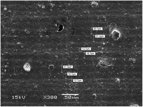 Figure 3. SEM micrograph of layer structure. Layer thickness varies from under 13 µm to over 20 µm. The specimen in the picture is from group Z-2. Magnification 300×.