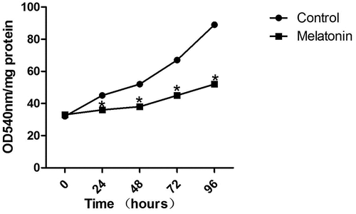 Figure 2. Inhibition of the proliferation of LC cells by melatonin (50 μM) in a time-dependent manner. *Compared with the control group, there existed a statistical significance, P < 0.05.