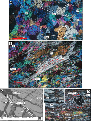 Figure 5. A, and B, show cross-polarised light microscopic images of the anhydrous (BP5A, BP40B) and hydrous (B, BP22A) peridotites. C, Backscattered electron image clearly show the replacement of olivine by chlorite, serpentine and magnetite (BP24A). D, Cross-polarised image of a mylonitic quartzofeldspathic gneiss (BP1A).