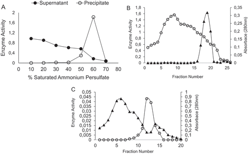 Figure 1. Purification of peroxidase (POD) purified from haricot bean (Phaseolus vulgaris L.). (A) Ammonium sulphate precipitation, (B) CM-Sephadex exchange chromatography, and (C) gel filtration chromatography.