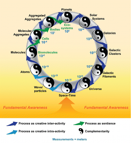 Figure 2. Schematic of the self-organizing universe as it arises from non-dual, Fundamental Awareness: a monistic, non-dual, field of pure awareness. The emergence of the dualistic universe from this Fundamental Awareness is characterized, at the first and all subsequent levels of scale, by process (as creative intra-activity in non-local scales, as creative inter-activity at higher, material scales, and as sentience in biological systems); complementarity; and recursion. As in some mathematical formulations of physical theory descriptions of existence (e.g., M-theory), the most small and the very largest scales are indistinguishable.