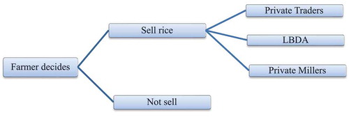 Figure 1. Farmers’ decision making in marketing of rice.
