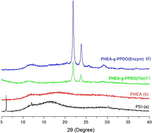 Figure 6 X-ray diffraction patterns of (a) PSI, (b) PHEA, (c) PHEA-g-PPDO (Tin), and (d) PHEA-g-PPDO (Enzy).