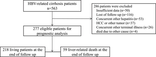 Figure 1 Flow chart of patients with hepatitis B virus-related cirrhosis.