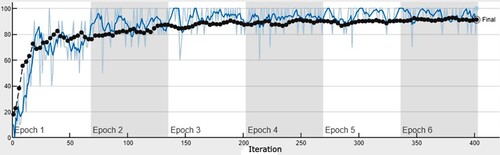Figure 15. Accuracy versus iteration graph for the Iris image.