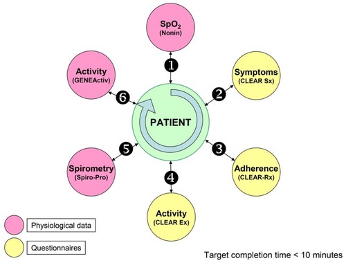 Figure 1 Schema for daily remote patient monitoring.