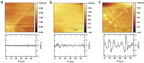 Figure 5. AFM images (top) and roughness profile plots (bottom) of silicon substrates after treatment with piranha solution, (a); after functionalization by gas phase, (b); after functionalization by toluene immersion, (c). White lines indicate the measurement range; roughness RMS values are plotted as dotted lines.
