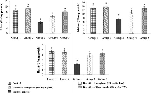 Figure 6. Effect of kaempferol on the activity of SOD in the tissues of STZ-diabetic rats. Values are given as means ± SD from six rats in each group. Values not sharing a common superscript differ significantly at P < 0.05. DMRT. U* = enzyme concentration required for 50% inhibition of NBT reduction/minute.