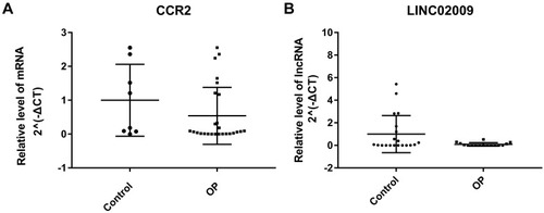 Figure 8 QRT-PCR verification results. The X-axis was indicated different samples and the Y-axis was indicated the relative level of CCR2 mRNA (A) and LINC02009 lncRNA (B) for qRT-PCR results.
