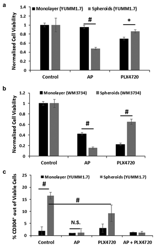 Figure 3. AP preferentially targets stem-cell like cells. A. YUMM1.7 cells were cultured as a monolayer in adherent tissue culture plates or as spheroids in low binding NCP plates to enrich for YUMM1.7 cells with stem-cell like properties. YUMM1.7 cells in a monolayer (at less than 50% confluency) and spheroids were treated with 20 µM AP and 5 µM PLX4720 individually for 48 h and 72 h, respectively, and then assayed for cell viability using the CellTiter-Glo® Luminescent Cell Viability Assay (Fisher). Data were normalized to control samples (mean ± SD) for comparison. B. WM3734 cells were cultured as a monolayer in adherent tissue culture plates or as spheroids in ultra-low attachment plates. WM3734 cells in a monolayer (at less than 50% confluency) and spheroids were treated with 20 µM AP and 5 µM PLX4720 individually for 48 h and 72 h, respectively, and then assayed for cell viability using the CellTiter-Glo® Luminescent Cell Viability Assay (Fisher). Data were normalized to control samples (mean ± SD) for comparison. C. YUMM1.7 cells grown in a monolayer or as spheroids were treated with 5 µM PLX4720 for 72 h. After 24 h of PLX4720 treatment, 20 µM AP was added to the appropriate samples for the remaining 48 h and then all samples were assayed for CD304 (mean ± SD) expression by flow cytometry. n = 3–5 per group; * = p ≤ 0.05 and # = p ≤ 0.01 compared to indicated group