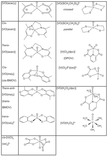 Figure 2 Structural display of reference crystal structure of protein tyrosine phosphatase1B (PDB code: 2hnq). Tungstate, a tetraoxo homologue to vanadate, is bound to the active site (see text). Except for a few labeled amino acids the protein is represented by its backbone with helical parts in red, turns and loops in white, and beta strands in light blue color.