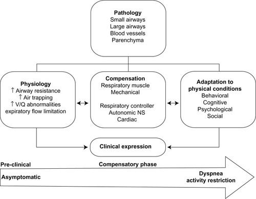 Figure 1 Characterization of mild chronic obstructive pulmonary disease.