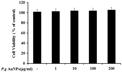 Figure 1. Effect of P.g AuNPs on viability of RAW 264.7 cells. Cells were treated with P.g AuNPs at various concentrations (0, 1, 10, 100, and 200 μg/ml) for 24 h. Cell viability was measured by MTT assay.