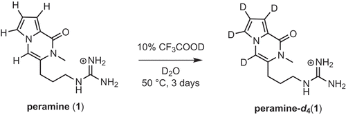 Scheme 6. Deuteration of peramine.